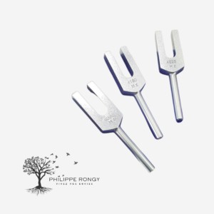 3 Crystal Tuner - Anges - Non lesté