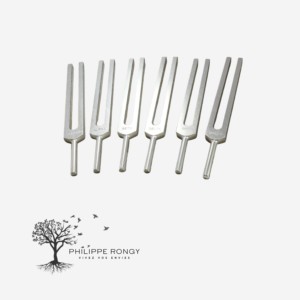 6 Brain Tuner - Non lesté